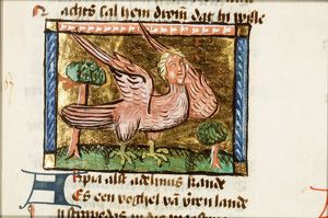Arpia (harpy)