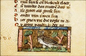 Bubo (owl)