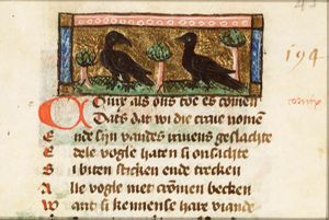 Cornix (crow)