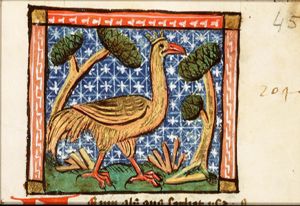 Fenix (phoenix)