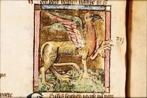 Grifis (griffin)