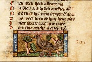 Garrulus (jay)