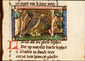 Lucidius