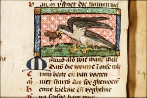 Milvus (harrier)