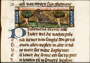 Philomena (nightingale)