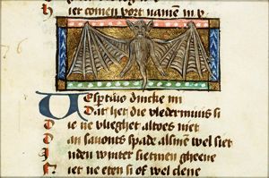 Vespertilio (bat)
