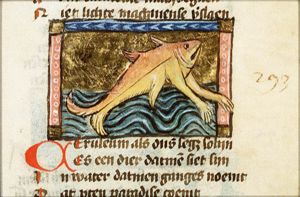 Cerilius