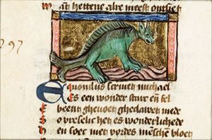 Equonilus