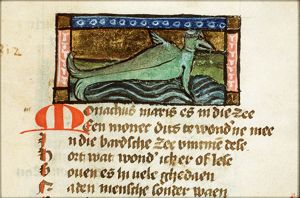 Monachus marinus