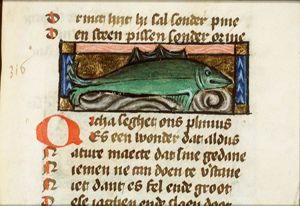 Orcha (sea mammal)