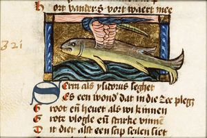 Serra (saw-fish)