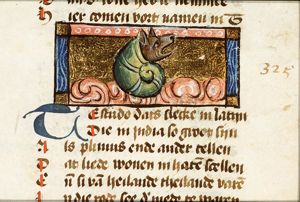 Testudo (snail)