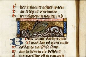 Bote (flounder)