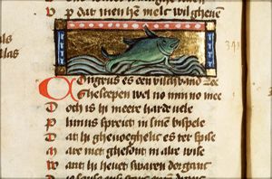 Congrus (sea-eel)