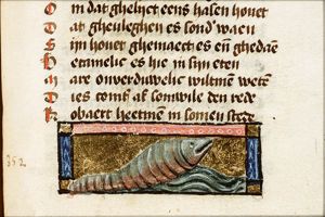 Coclea (sea-snail)