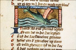 Irundo (sea-swallow)