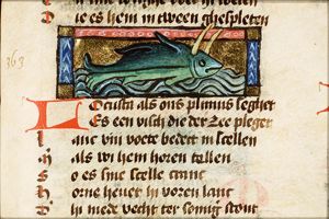 Locusta (kind of lobster)