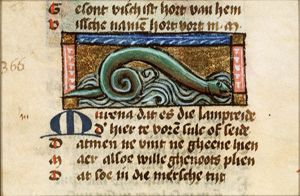 Murena (lamprey)