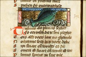 Trelinus
