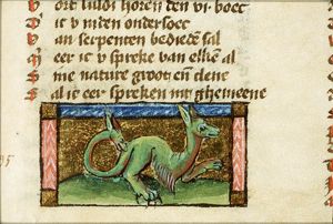 Reptile
