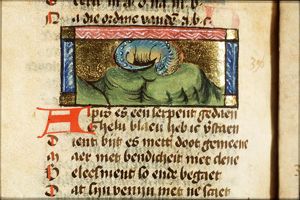 Aspis (kind of snake)