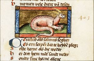 Carastes (kind of snake)