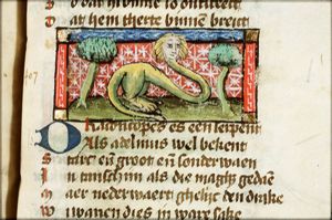 Draconcopes