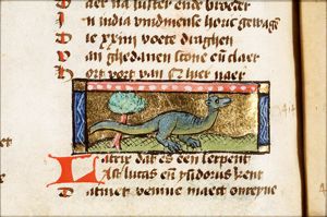 Natrix (viper)