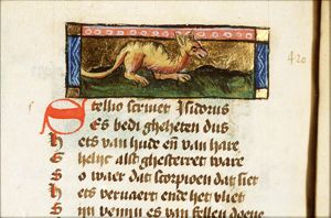 Stellio (gecko)
