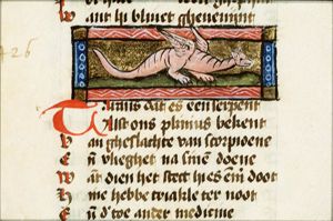 Tharans (kind of scorpion)