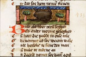 Bufo (toad)