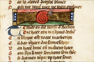 Testudo (snail)