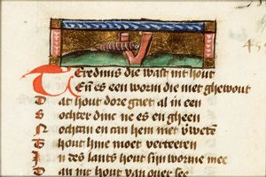 Teredinis (woodworm)