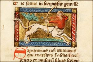 November: Sagittarius