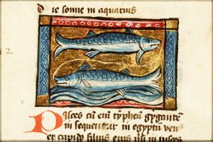 February: Pisces
