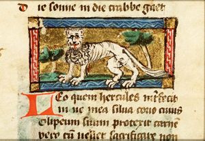 July: Leo