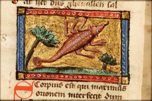 October: Scorpio