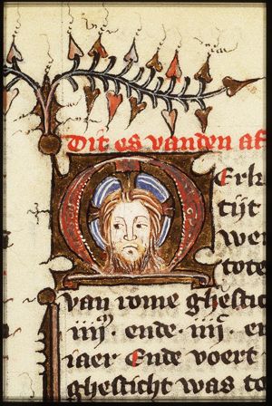 The head of Christ