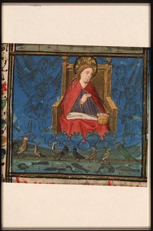The Creation: birds and fishes