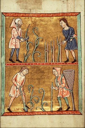 March: men pruning, tying up and planting vines