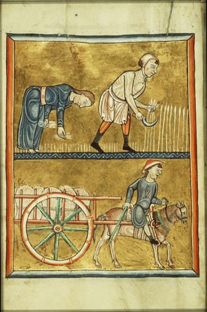 August: people reaping corn, gleaning, harvesting