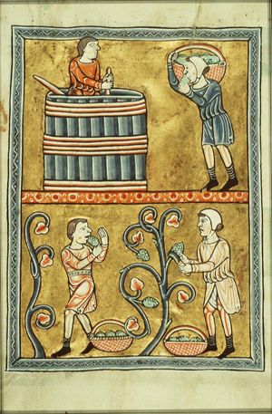 September: men picking and treading grapes