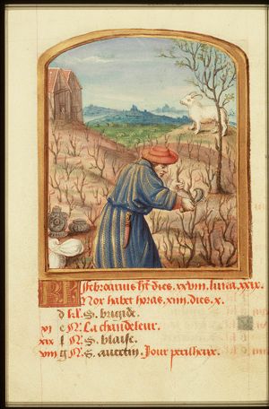 February: a man pruning; Aries