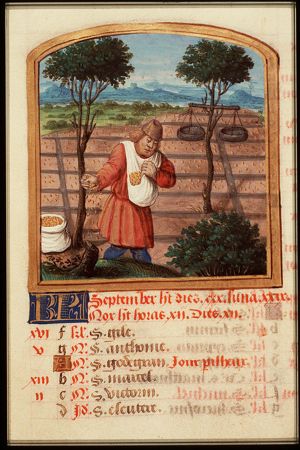 September: a man sowing; Libra