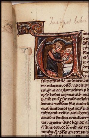 A Levite sacrificing