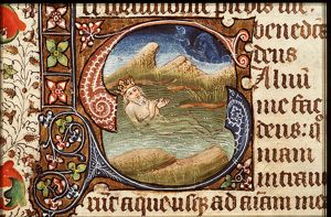David in the water