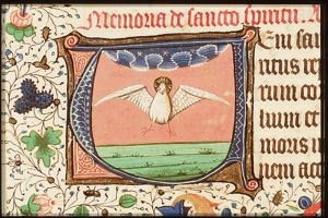 The Holy Spirit as a dove