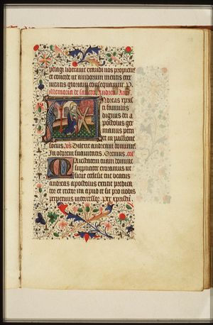 St. Andrew holding a book and the X-shaped cross