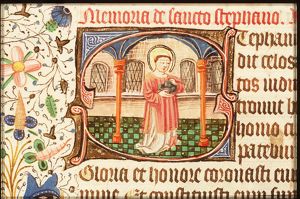 St. Stephen holding stones