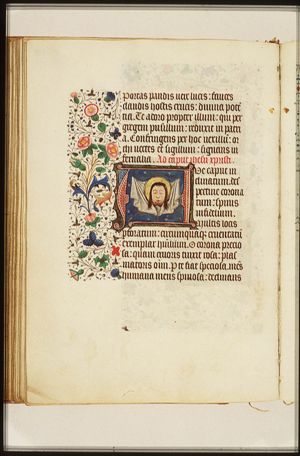 The veil with the image of Christ (Vera Icon)